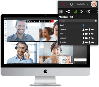 ip telephony video conferencing